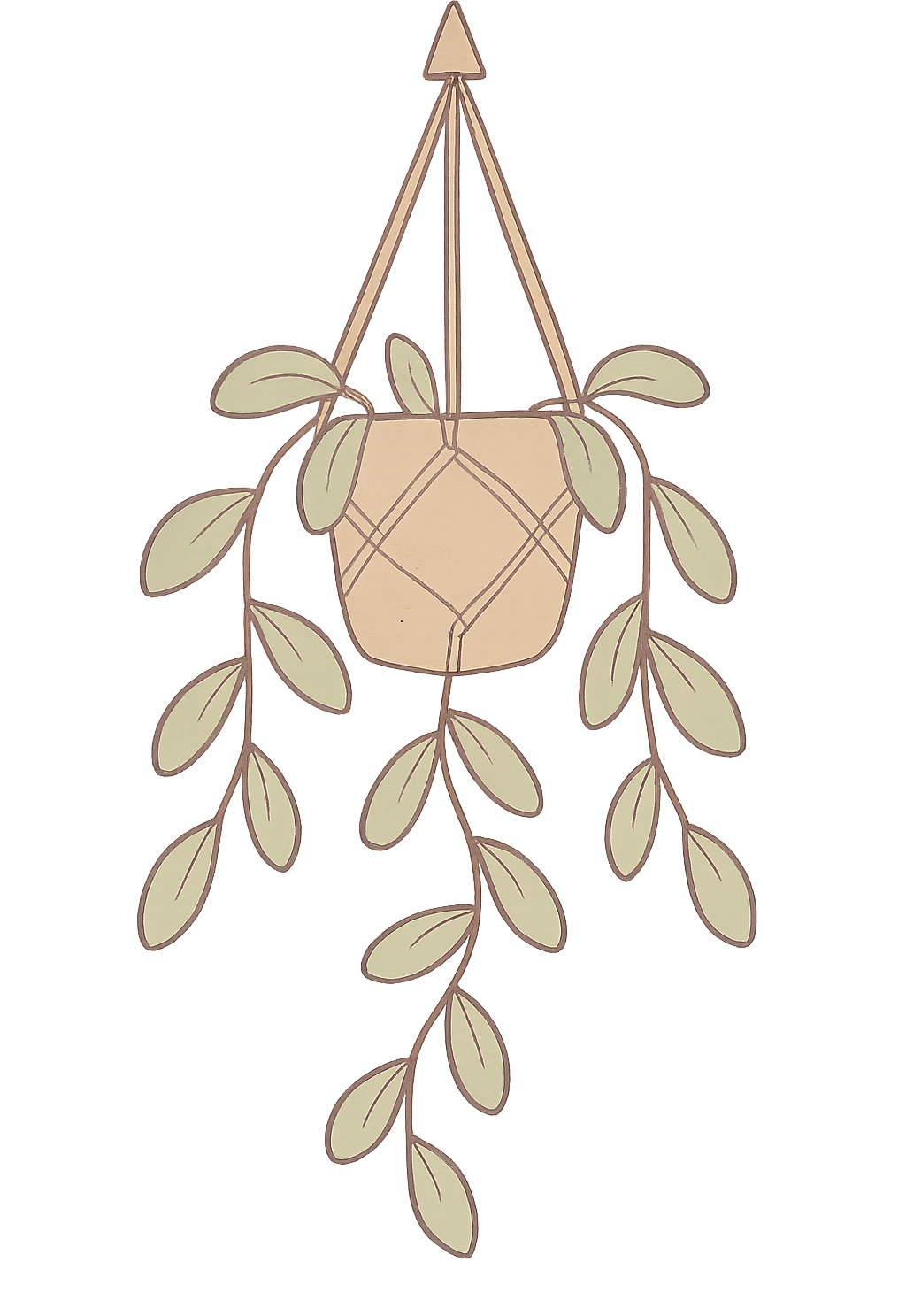 Plant illustration top left