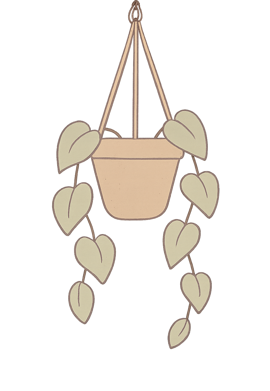 Plant illustration top right